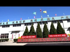 Plastic Injectie het Vormen Delen