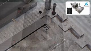 Professional customized cages mould Products