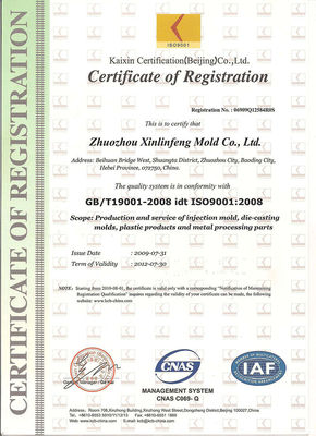 Top van aangepaste spuitgietproducten met P20/718/738/NAK80/S136/2738/2316 materiaal