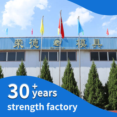 Professional Ice Skate Component Injection Mold Smooth Surface For Perfect Assembly